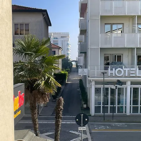 Lizard 1 Lido di Jesolo