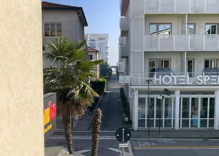 Lizard 1 Lido di Jesolo